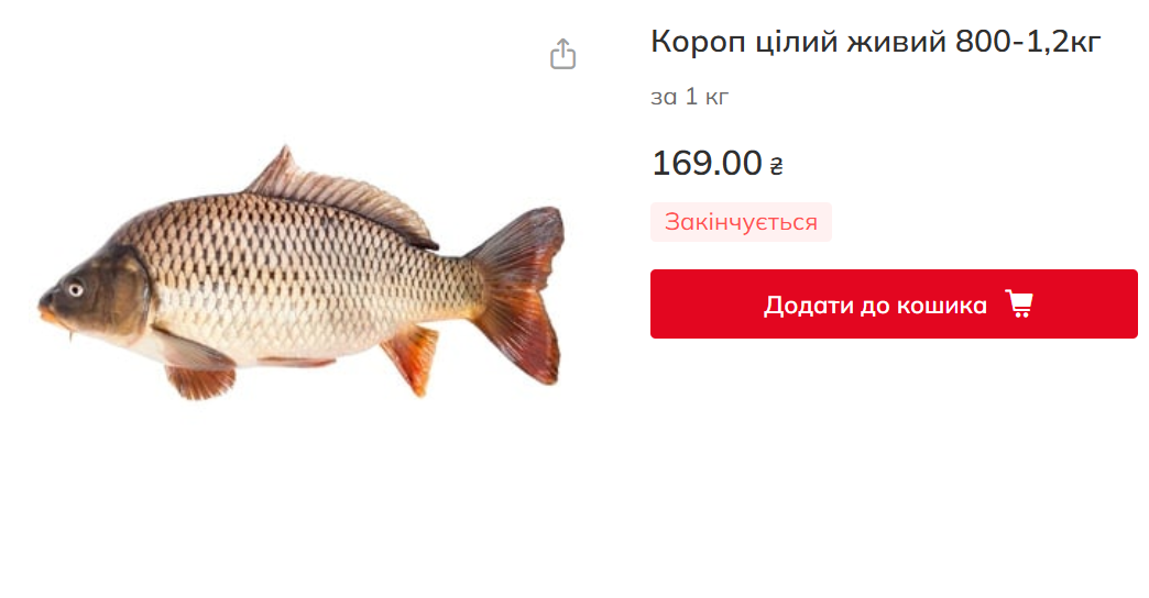 Ціни на рибу зростають. Що чекає споживачів і рибалок влітку